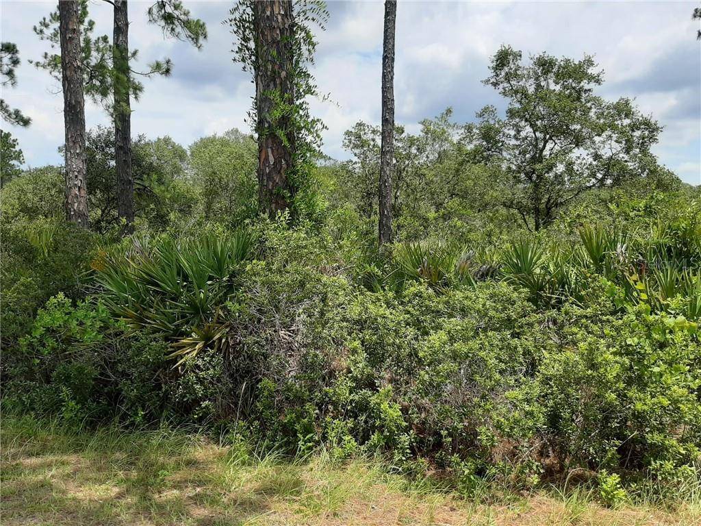 Ocklawaha, FL 32179,00 MALAUKA PASS WAY