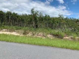 Dunnellon, FL 34431,0 SW PLAZA CT