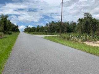 Dunnellon, FL 34431,0 SW PLAZA CT