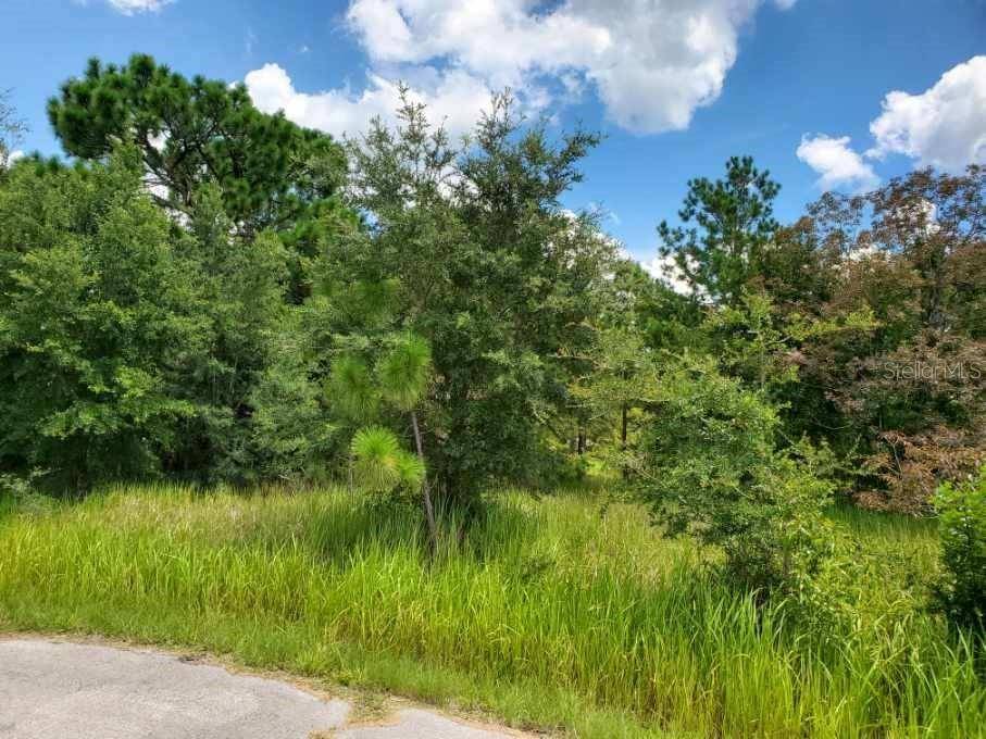 Ocala, FL 34472,Lot 27 CEDAR TREE RUN