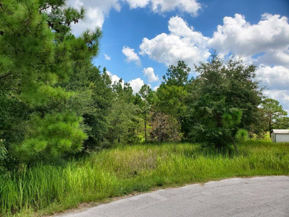 Ocala, FL 34472,Lot 27 CEDAR TREE RUN