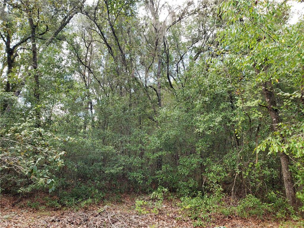 Ocala, FL 34472,Lot 15 LOCUST PASS TRCE