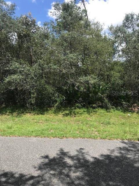 Ocala, FL 34473,TBD SW 44 CIR