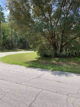 Ocala, FL 34473,0 SW 138TH STREET RD