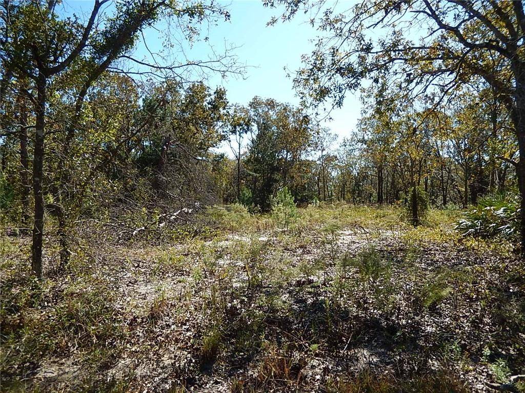 Ocklawaha, FL 32179,0 FISHER LANE TRAK