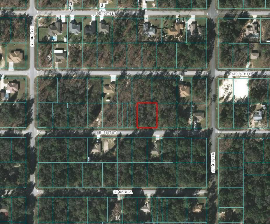 Summerfield, FL 34491,SE 161ST ST