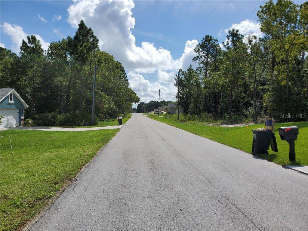 Summerfield, FL 34491,SE 160TH PL