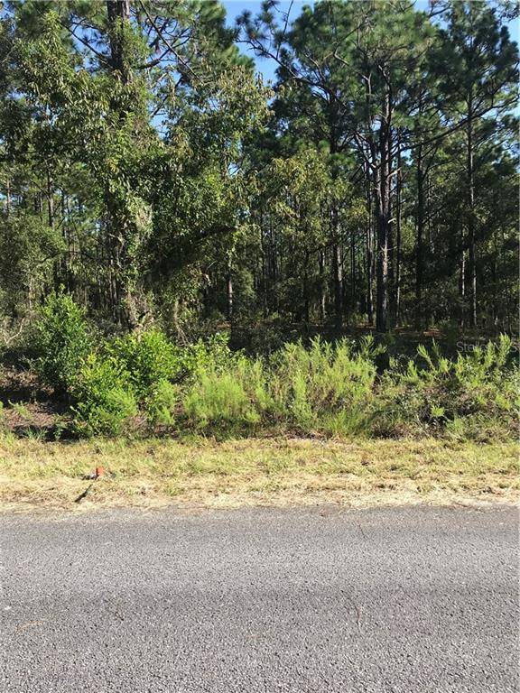 Dunnellon, FL 34431,0 SW RAINELLE ROAD