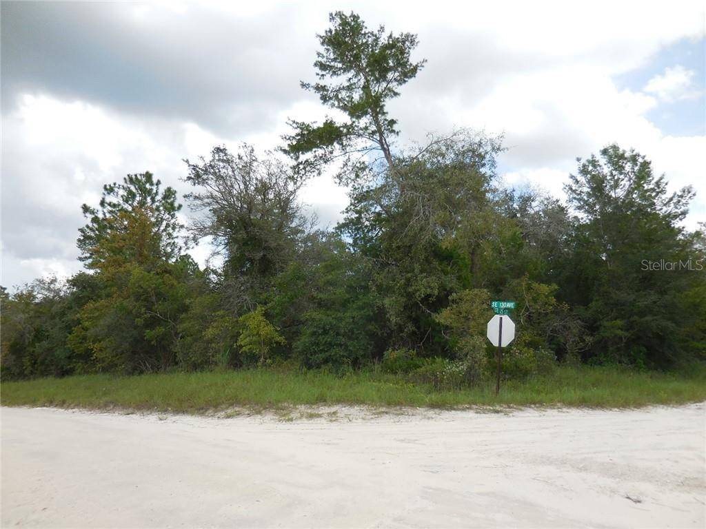 Morriston, FL 32668,13051 SE 25TH ST