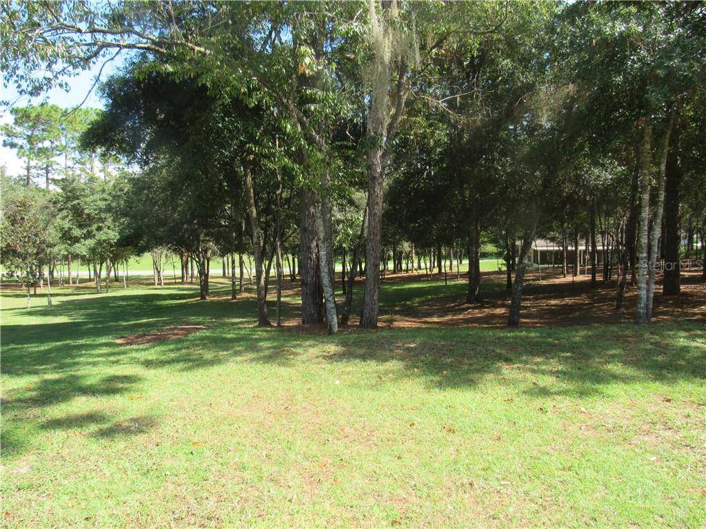 Dunnellon, FL 34432,0000 SW 194TH CIR