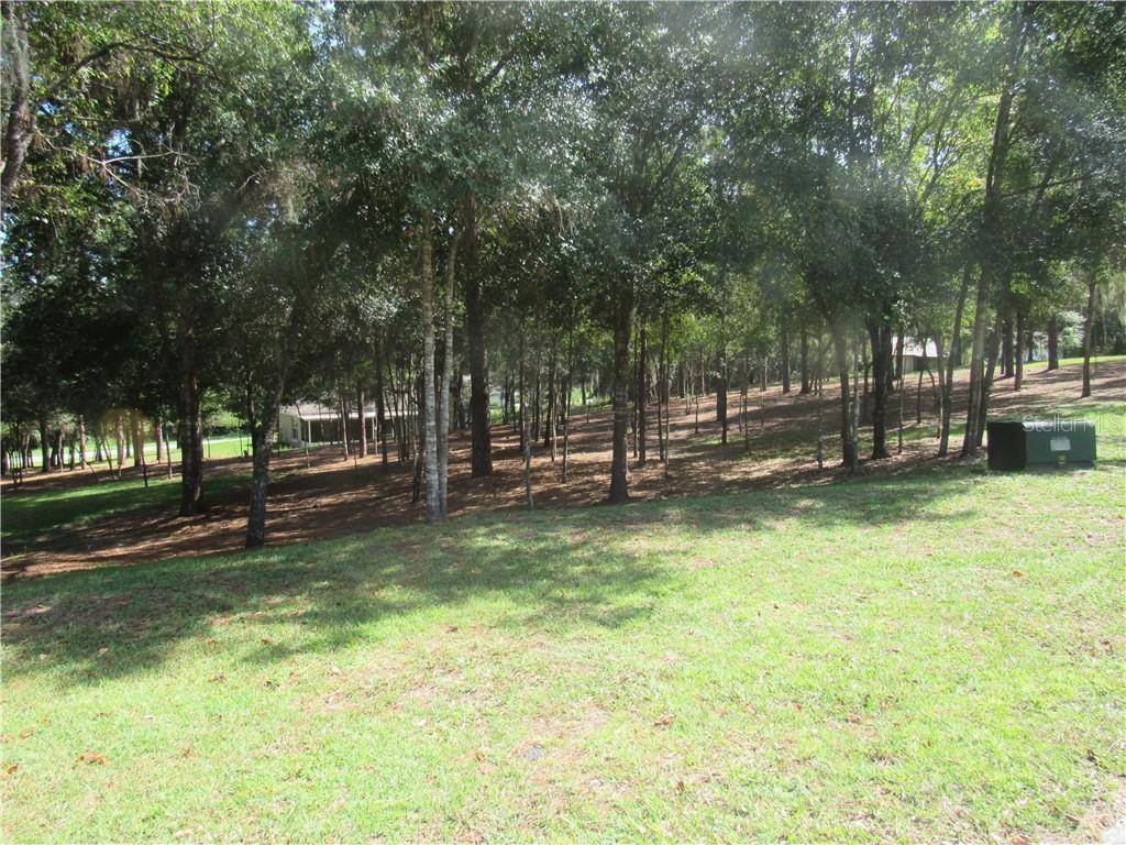 Dunnellon, FL 34432,0000 SW 194TH CIR