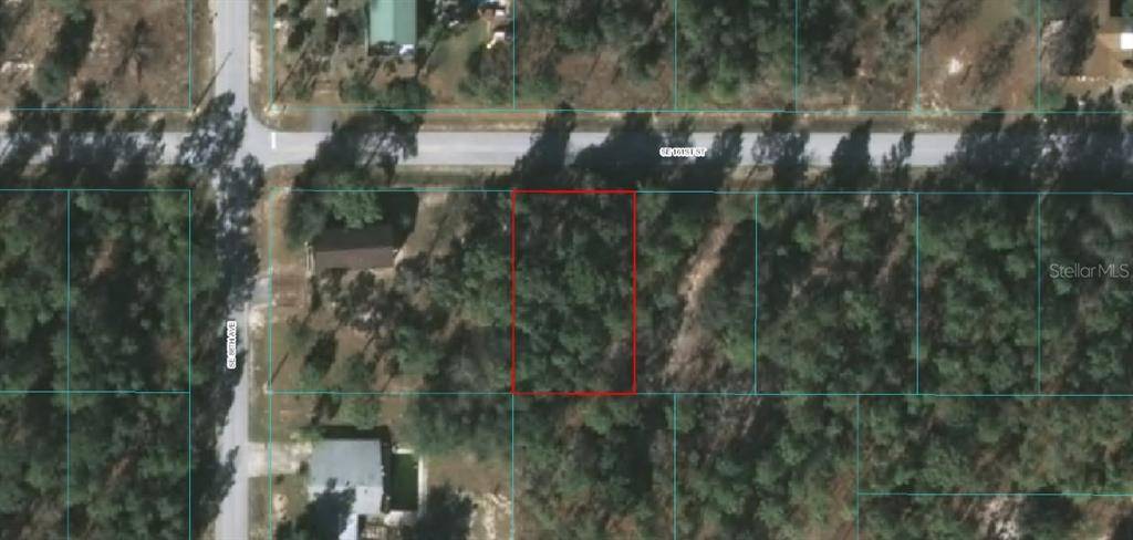 Summerfield, FL 34491,0 SE 161 ST