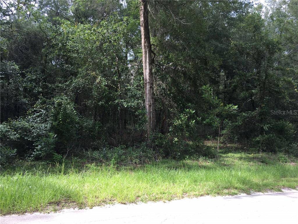 Williston, FL 32696,TBD NE 7TH PL