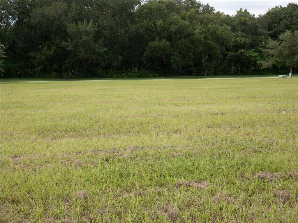 Groveland, FL 34736,TBD GRASS ROOTS RD