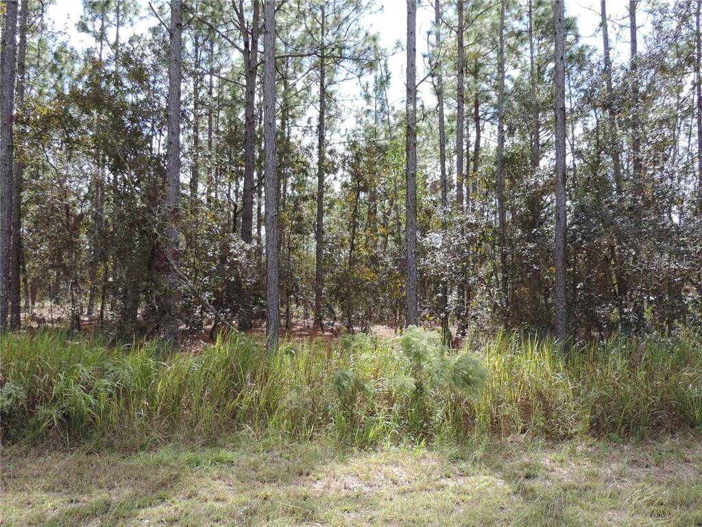 Dunnellon, FL 34432,0 SW 76 LN