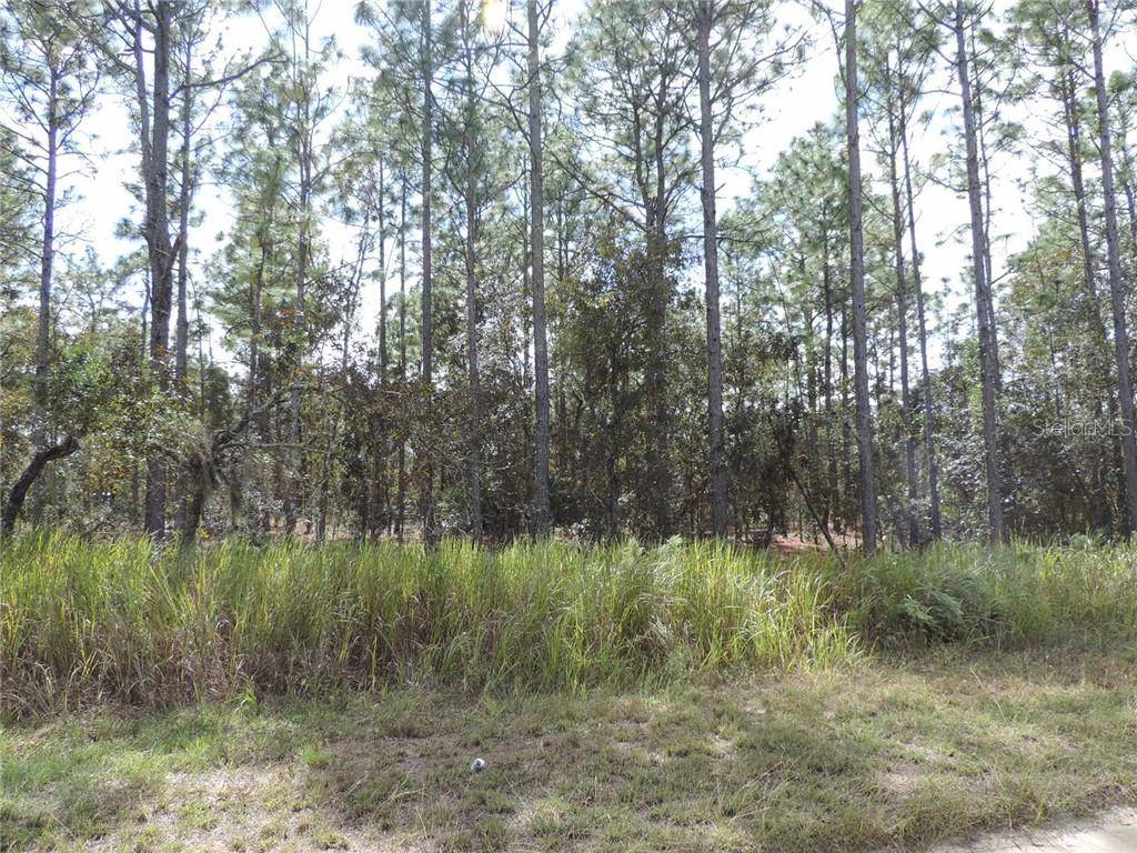 Dunnellon, FL 34432,0 SW 76 LN