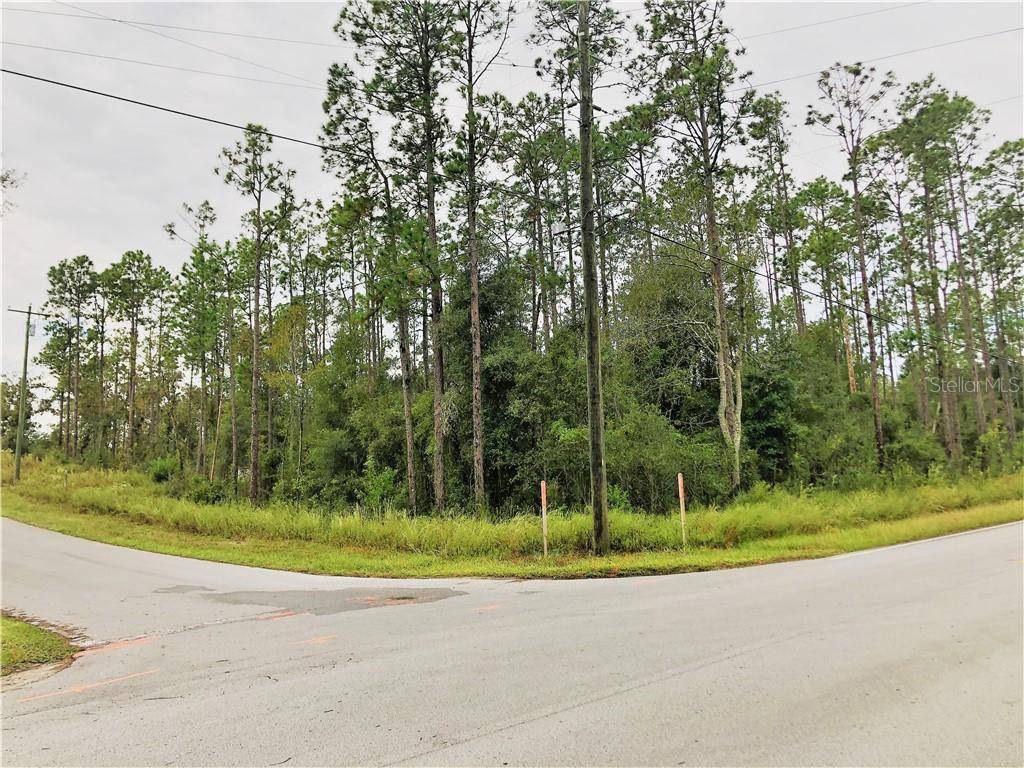 Dunnellon, FL 34431,00 SW MARINE BLVD