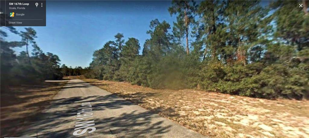 Ocala, FL 34473,Lot 2 SW 167 LOOP