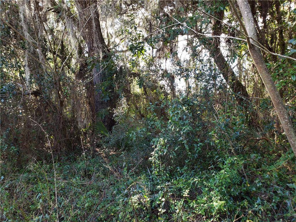 Ocala, FL 34473,Lot 13 SW 43RD AVENUE RD