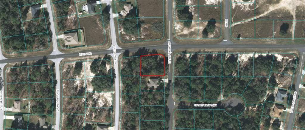 Ocala, FL 34472,00 LOCUST PASS LOOP