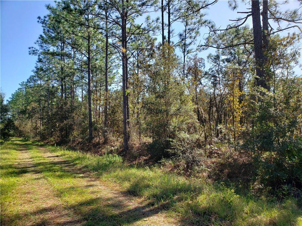 Dunnellon, FL 34432,Lot 11 SW 93RD ST