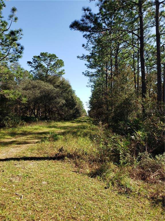 Dunnellon, FL 34432,Lot 11 SW 93RD ST