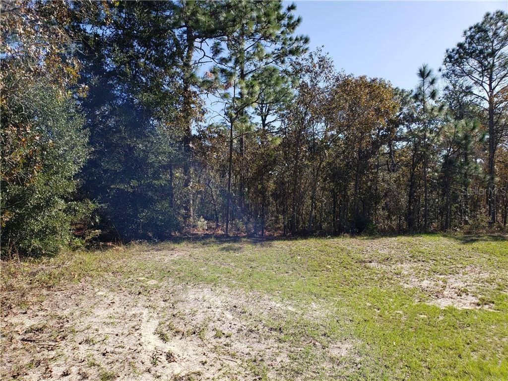 Dunnellon, FL 34432,Lot 11 SW 93RD ST