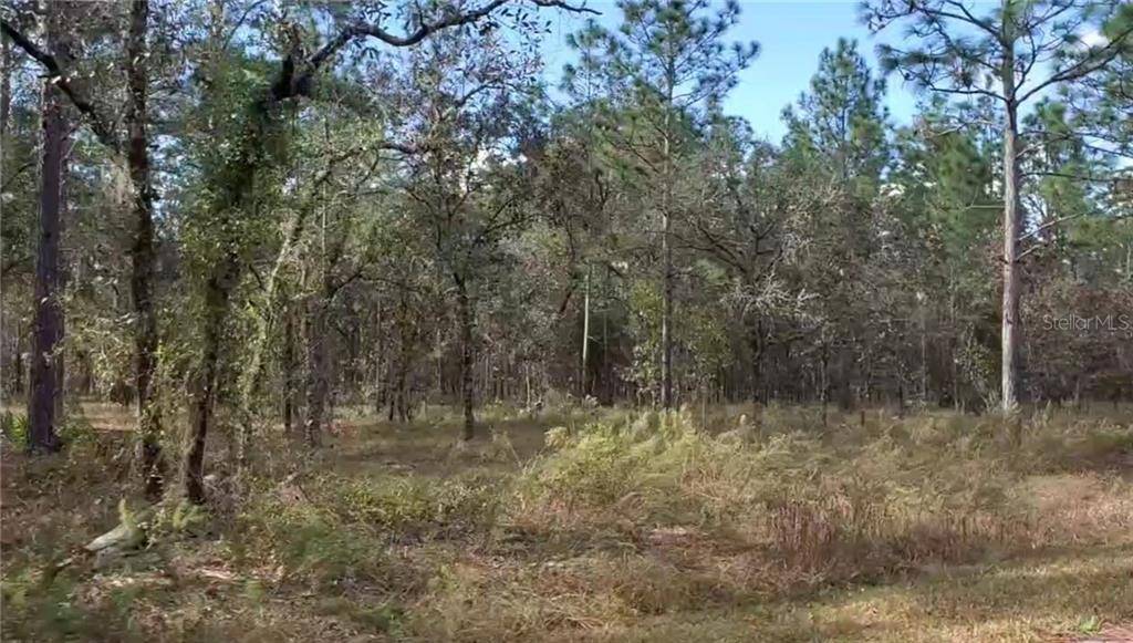 Dunnellon, FL 34432,00 NW HOLLY RD