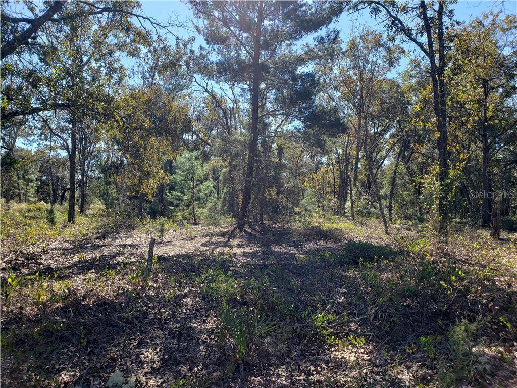 Ocklawaha, FL 32179,Lot 7 FISHER LANE TRAK