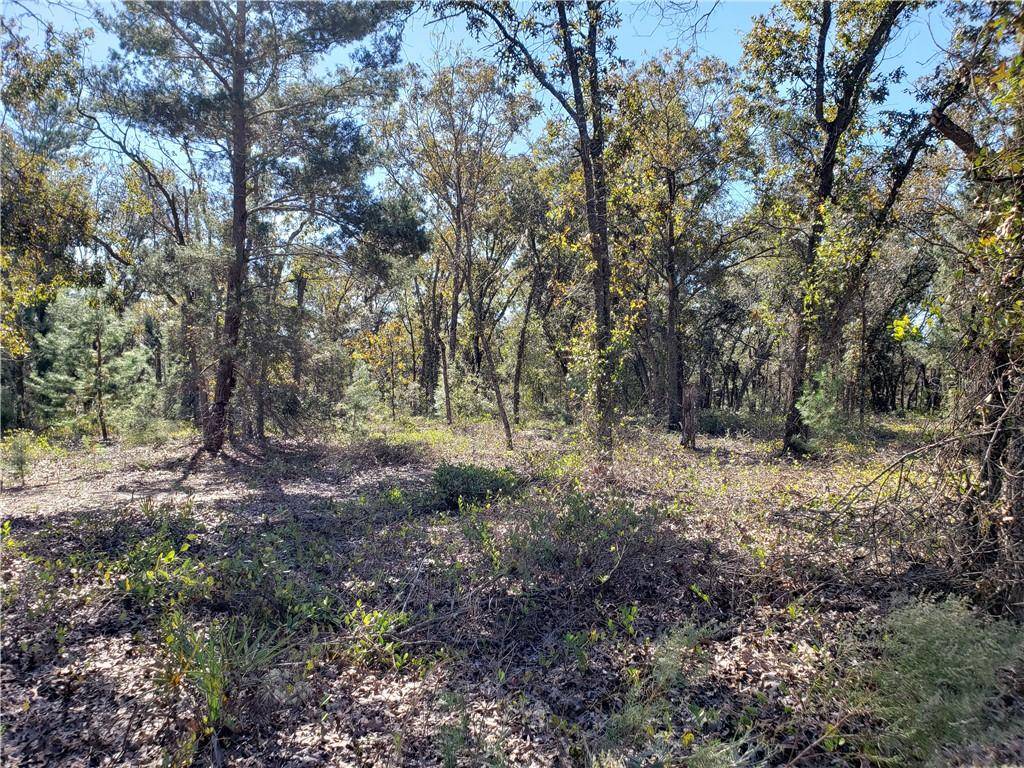 Ocklawaha, FL 32179,Lot 7 FISHER LANE TRAK