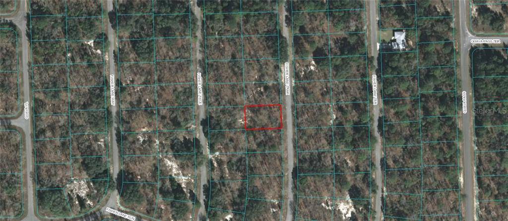 Ocklawaha, FL 32179,00 FISHER LANE TRAK