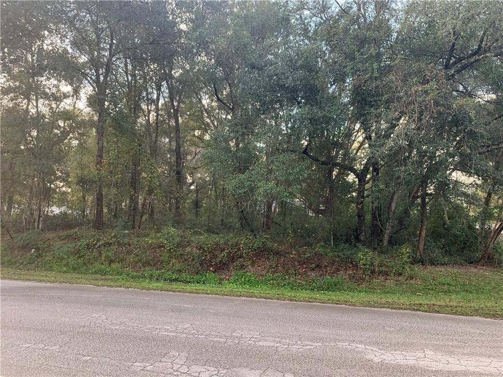 Belleview, FL 34420,TBD SE 130TH ST