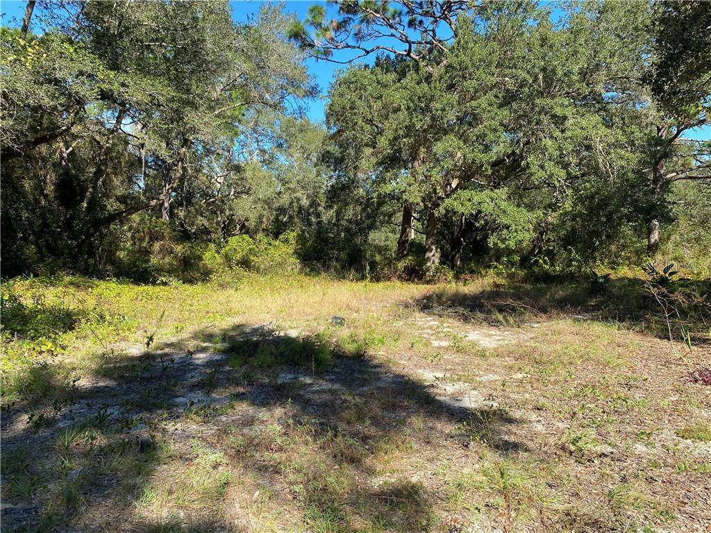 Ocklawaha, FL 32179,15785 SE 112TH LN