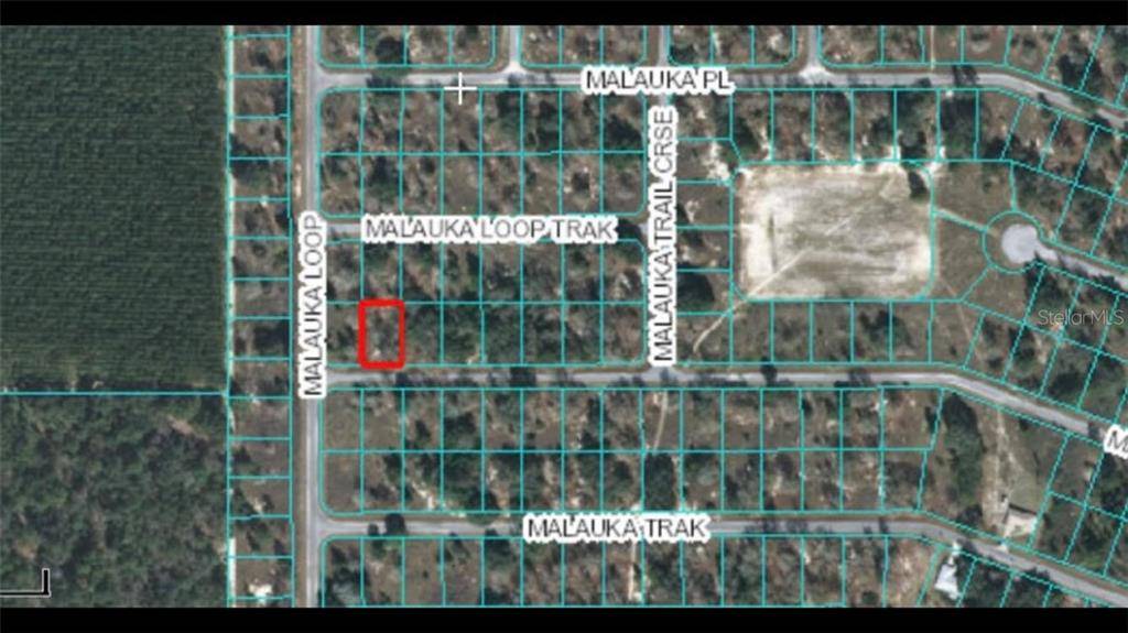 Ocklawaha, FL 32179,00 MALAUKA TRAIL