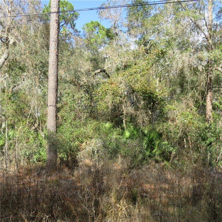 Silver Springs, FL 34488,10 SE 10 ST