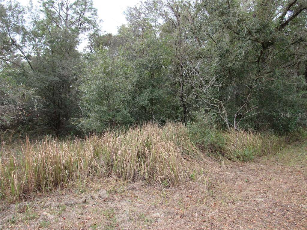 Dunnellon, FL 34432,0000 SW 189TH CIR