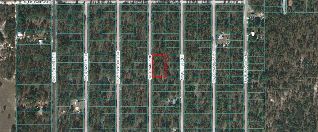 Dunnellon, FL 34431,0 SW ALVAREZ ROAD