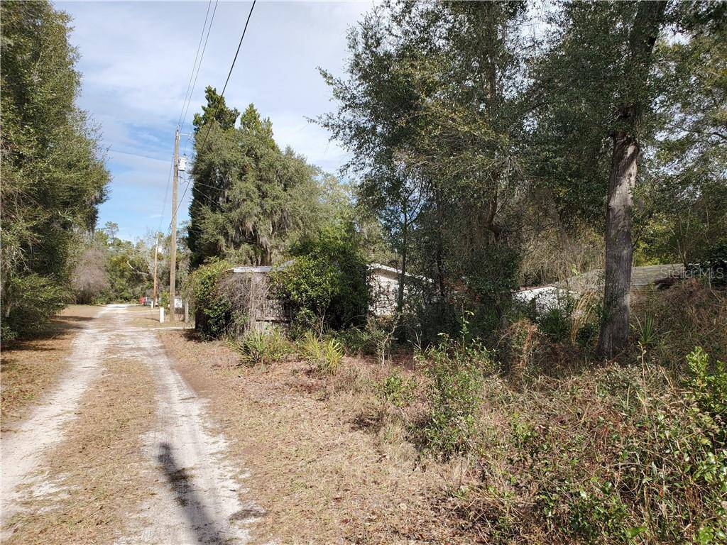 Salt Springs, FL 32134,NE 241 CT