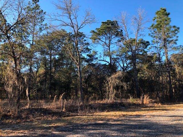 Dunnellon, FL 34431,Lot 31 SE 133 TER