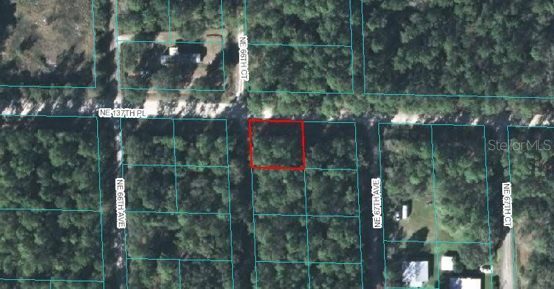 Citra, FL 32113,00 NE 66TH CT