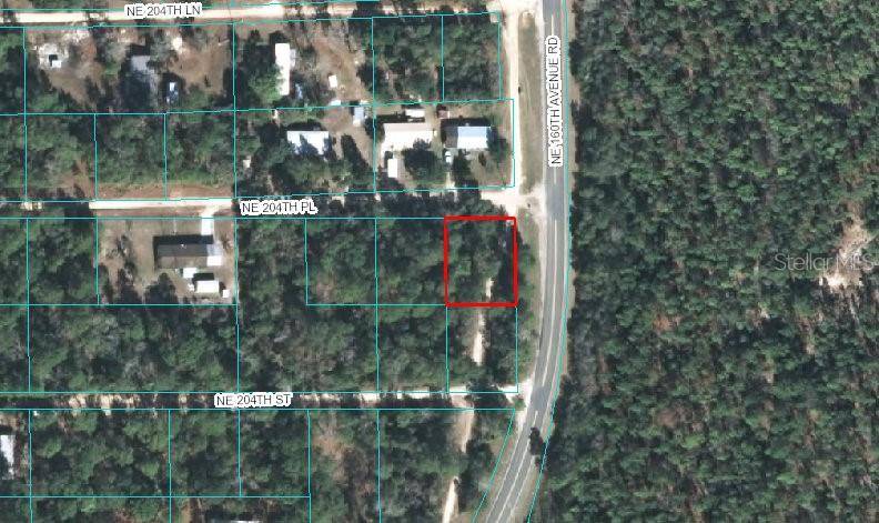 Fort Mc Coy, FL 32134,00 NE 204TH PL