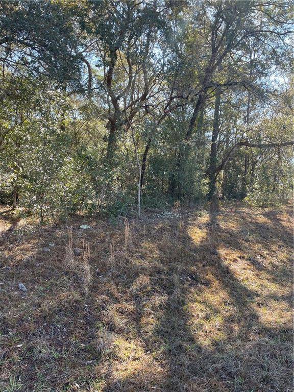 Dunnellon, FL 34431,TBD SW 198 AVE