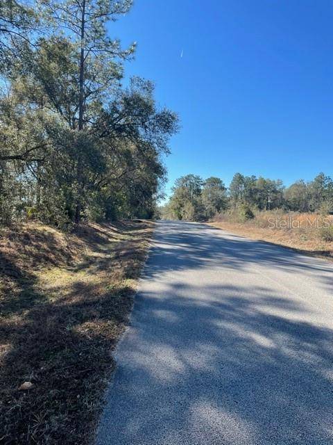 Dunnellon, FL 34431,TBD SW 198 AVE