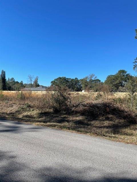 Dunnellon, FL 34431,TBD SW 198 AVE