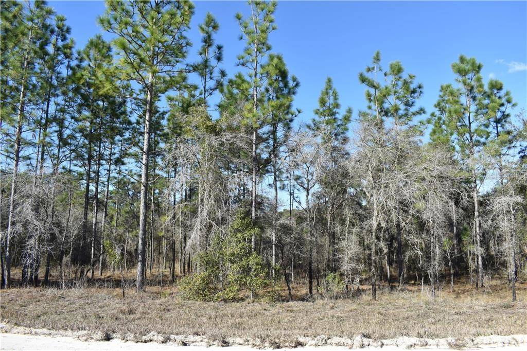 Morriston, FL 32668,Lot 24 TBD SE 72ND PL