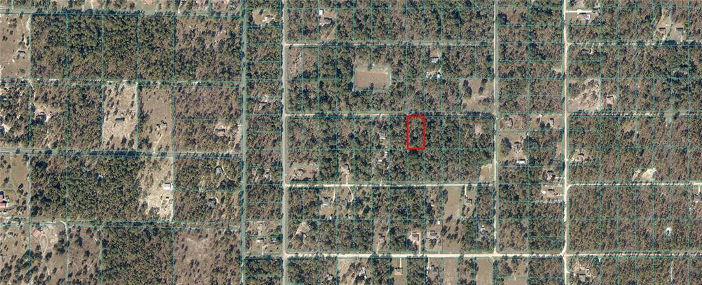 Dunnellon, FL 34432,00000 SW 96TH LN