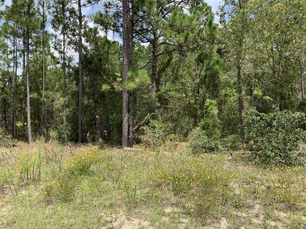 Dunnellon, FL 34431,00 SW 125 TER