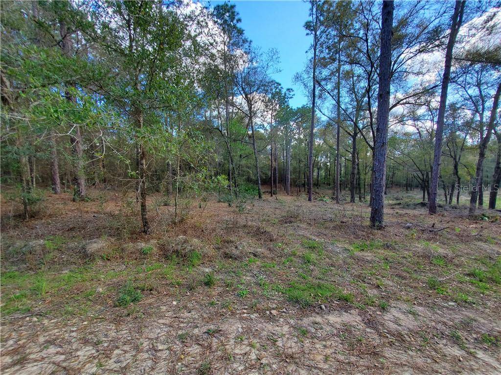 Dunnellon, FL 34432,tbd SW 52 ND LN