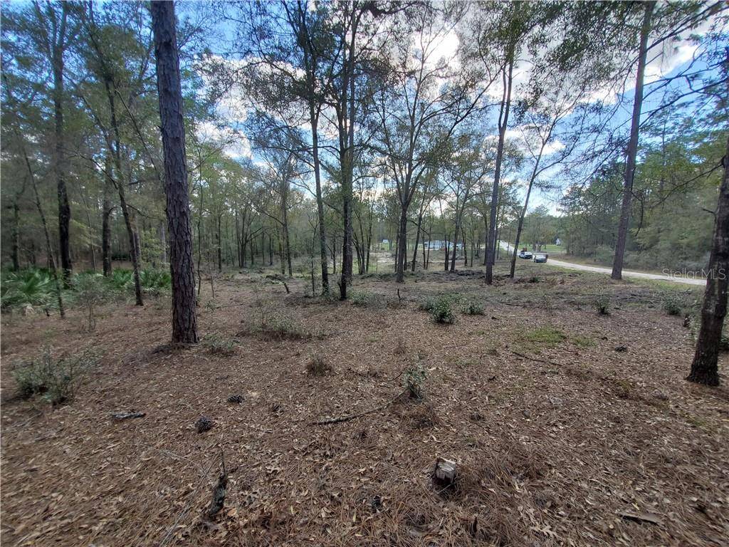 Dunnellon, FL 34432,tbd SW 52 ND LN