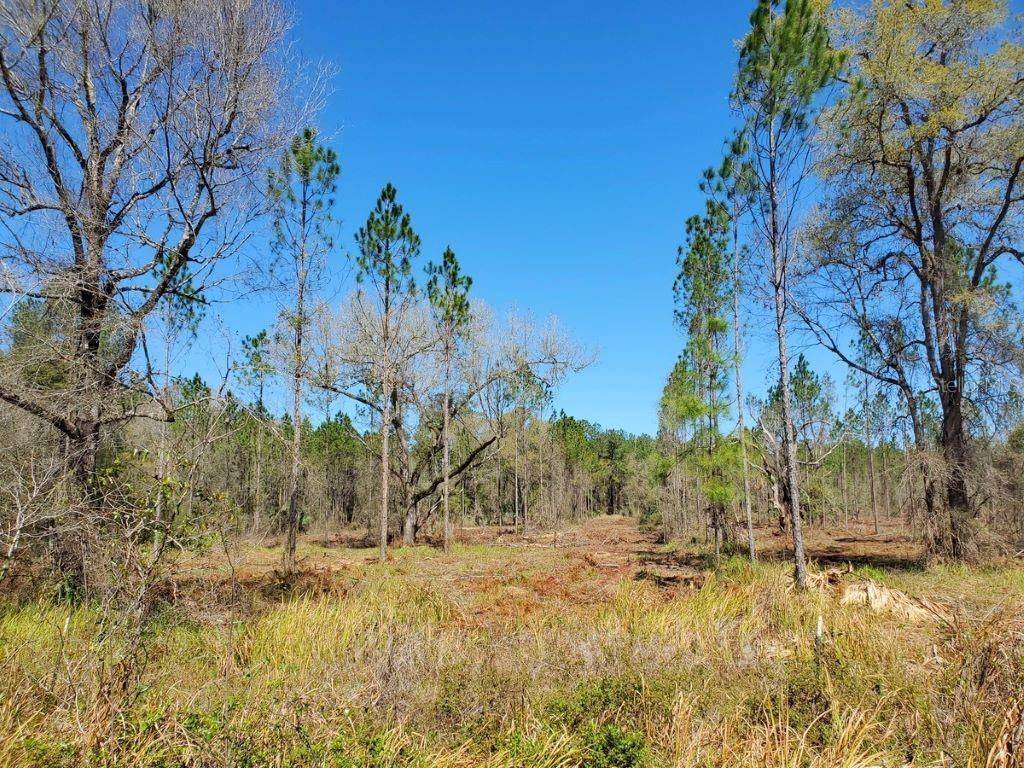 Fort Mc Coy, FL 32134,10.6ac NE 150TH AVENUE RD